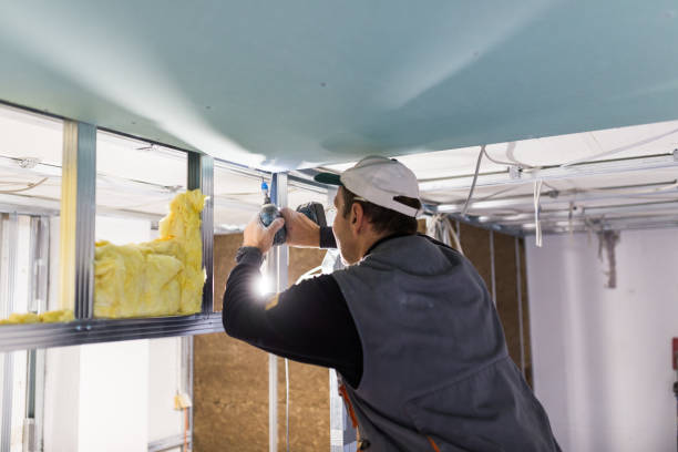 Best Insulation for Existing Homes  in Potosi, TX